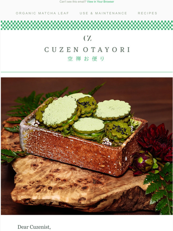 Cuzen Matcha Maker Starter Kit – Bevsco