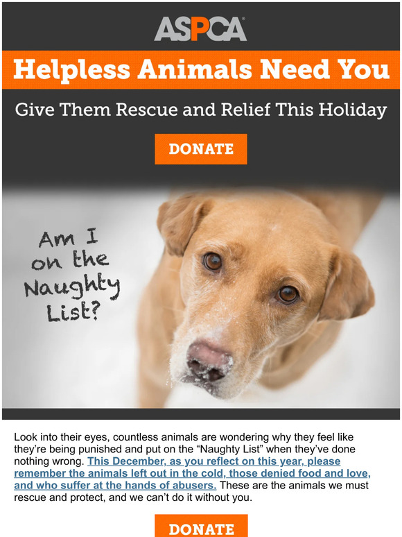 Abused Animals Left Without Hope (Help Now)