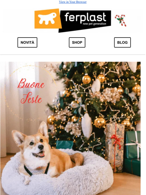 Buone Feste 🧡🐾