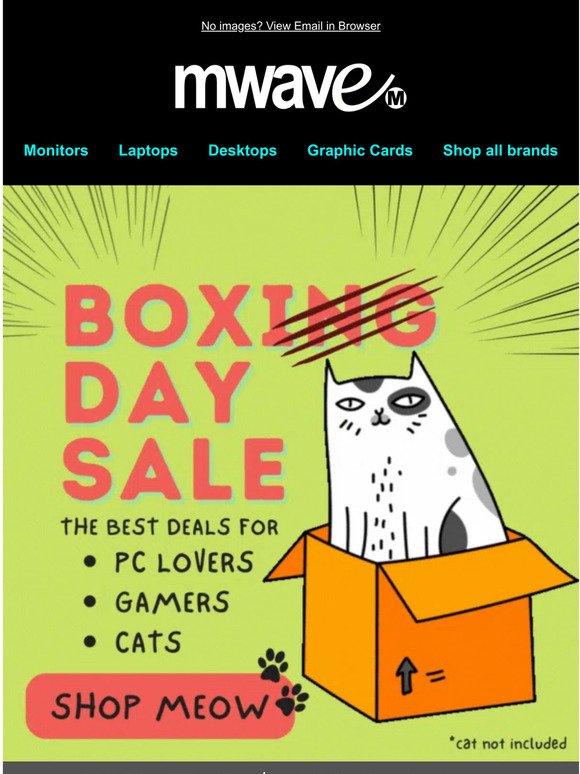📦🐈 Boxing Day Sale - LIVE NOW
