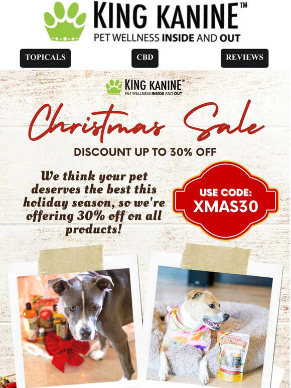 🎅🐾🎅 Merry Christmas Sale! 🎅🐾🎅