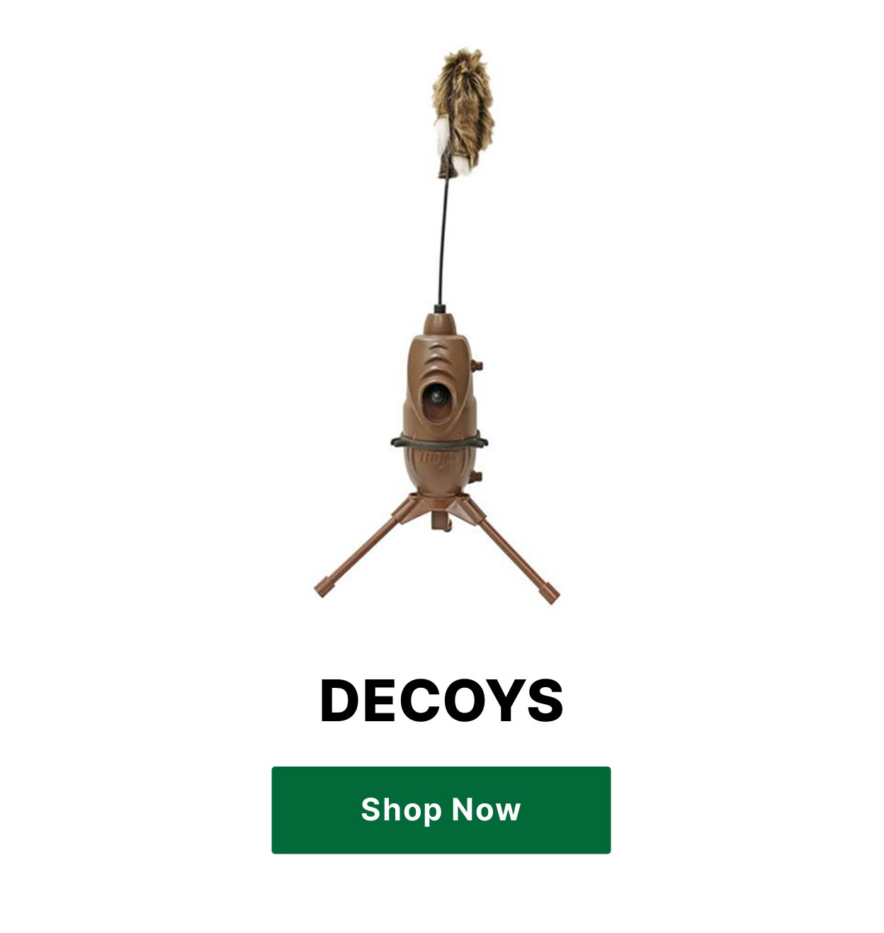 Decoys
