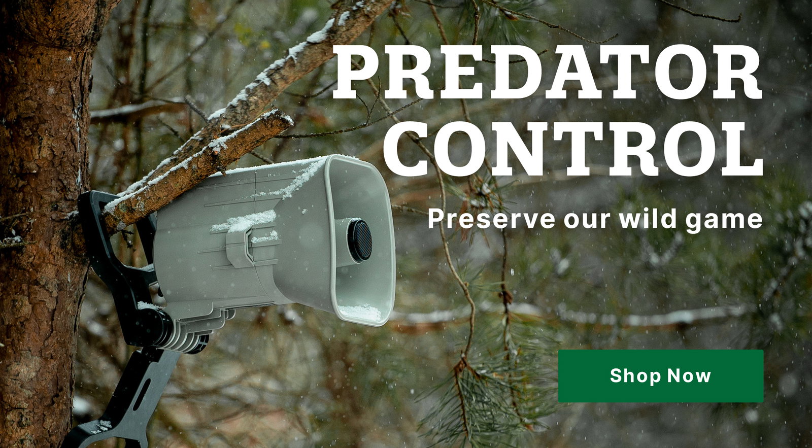 Predator Hunting