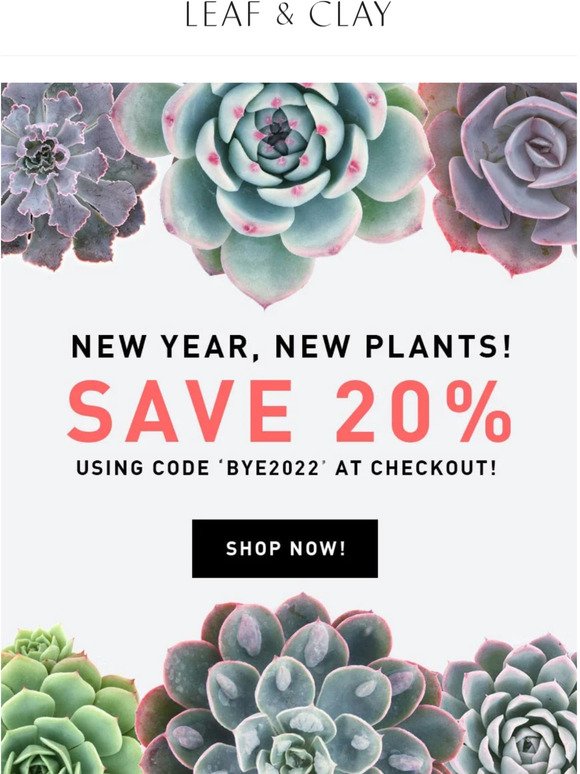 🌵🌵 New Year's Sale Starts Now!!  SAVE 20%!! 🌵🌵