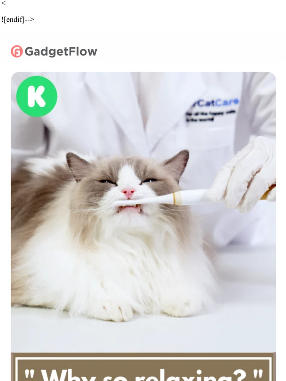 Gadget Flow Meet the toothbrush that kitties will love! Milled
