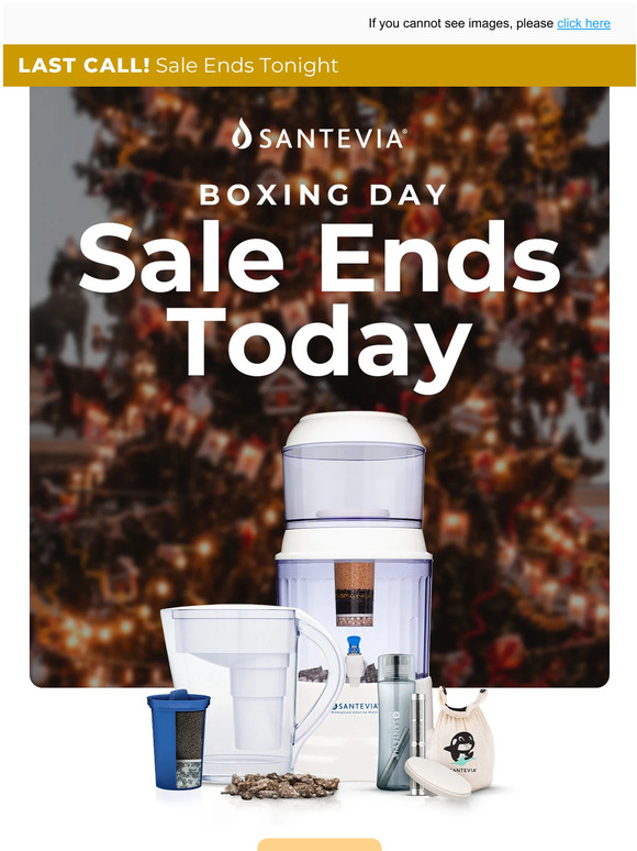 Boxing Day - Last Chance