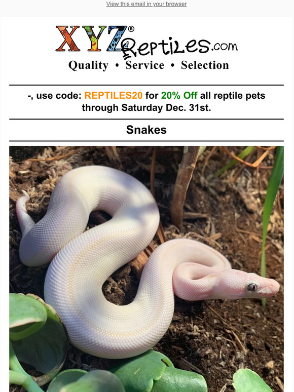 🐍20% Off All Reptiles Ends Saturday Dec 31st