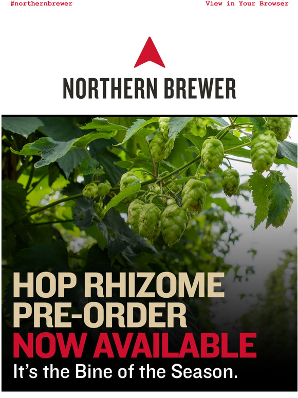 Northern Brewer Home Brewing Supplies EXTRA! EXTRA! Winexpert LE22 Available Now 🍇 Milled