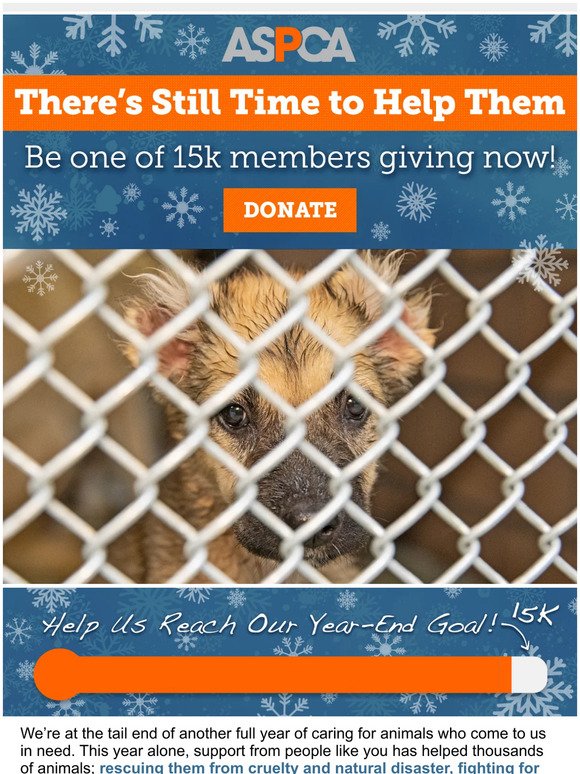 Goal Introduced! Be One of 15k Helping Animals