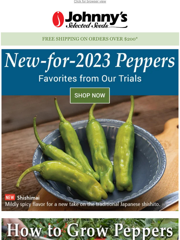 New Peppers for 2023! Milled