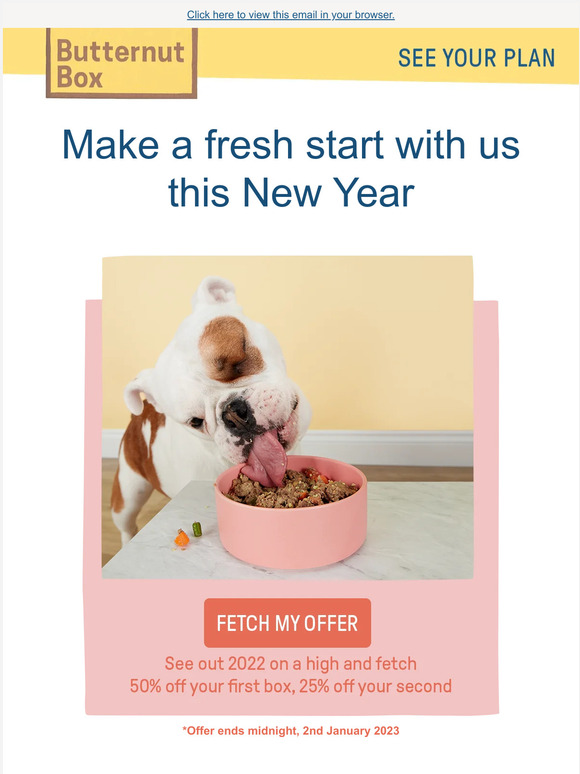 Start the new year on the right paw 🐾