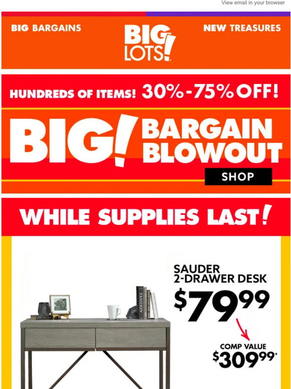 Big Lots Big Bargain Blowout Event