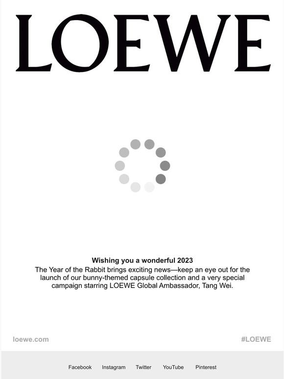 Loewe collab discount email