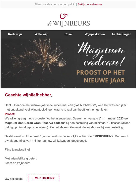 ✨ Eindejaarsbonus: Magnumfles cadeau | Proost! ✨