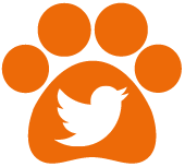 Animed Twitter