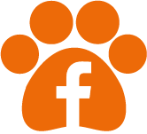 Animed Facebook