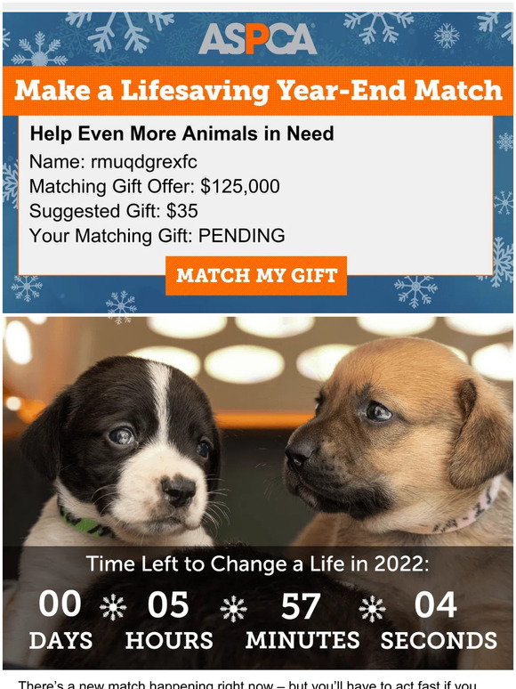 BREAKING: New Match Offer!
