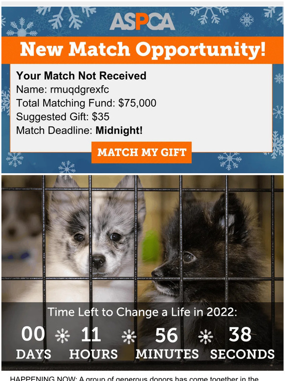 Your Gift Doubled Today Only!