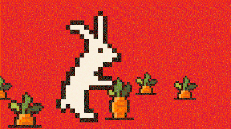 Rabbit