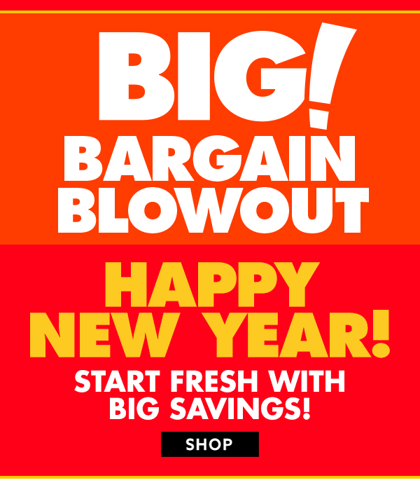 Big Lots 🎆 HAPPY NEW YEAR! Shop our BIG bargain blowout event! Milled