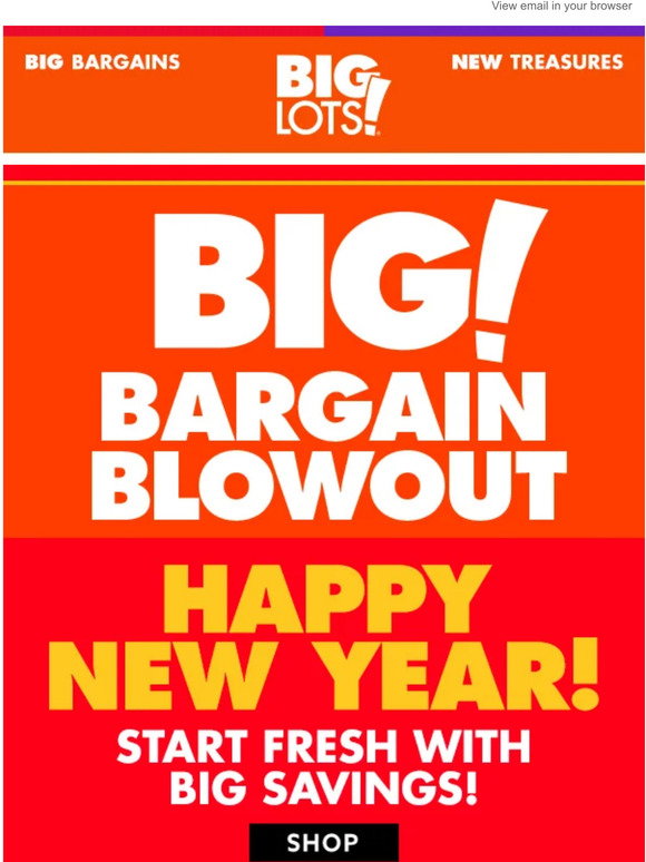 Big Lots Big Bargain Blowout Event