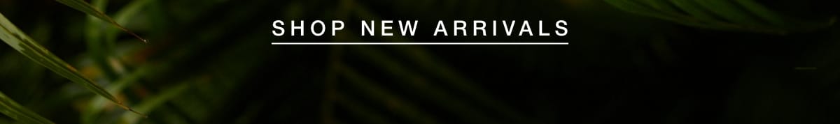 Explore Spring 2023 New Arrivals