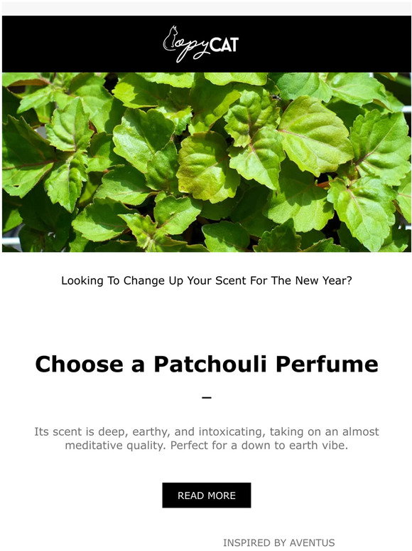 Copycat Fragrances: What is Patchouli — and what makes it a great scent ...