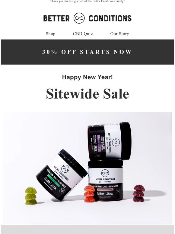Happy New Year Sale! 30% OFF SITEWIDE 🎉