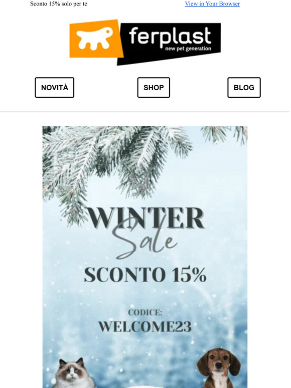 Winter Sale ❄️🤩