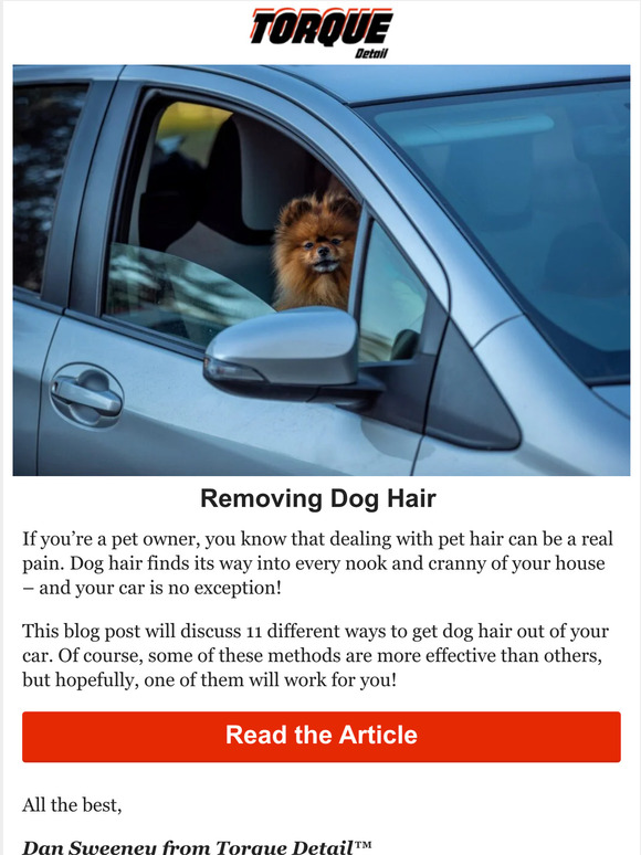 Torque Detail 11 ways to get dog hair out of your car Milled