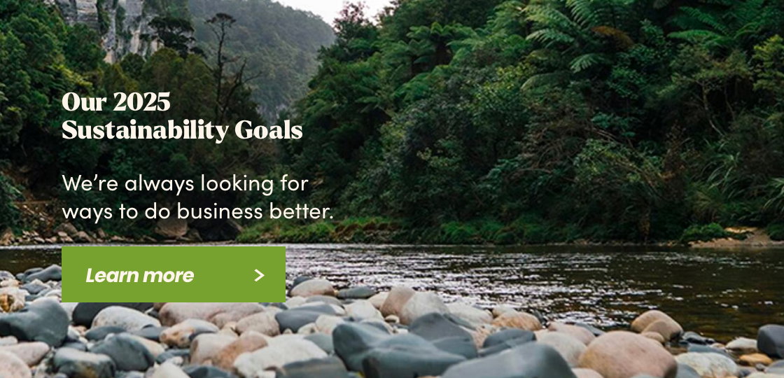 2025 Sustainability Goals