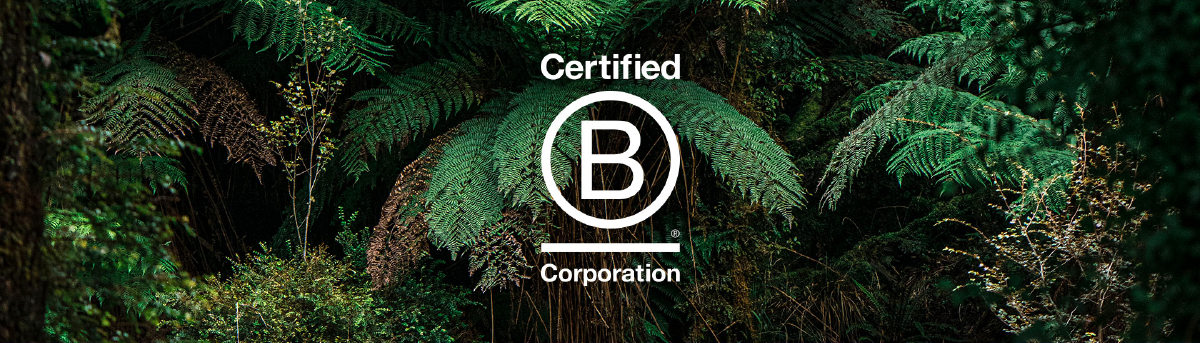 B Corp Logo