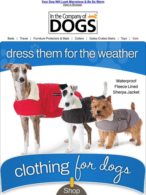 In The Company of Dogs Your Puppy Needs Winter Clothes, Too Shop Now