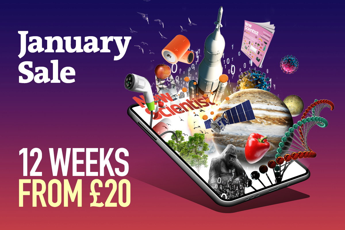 January sale - 12 weeks from £20