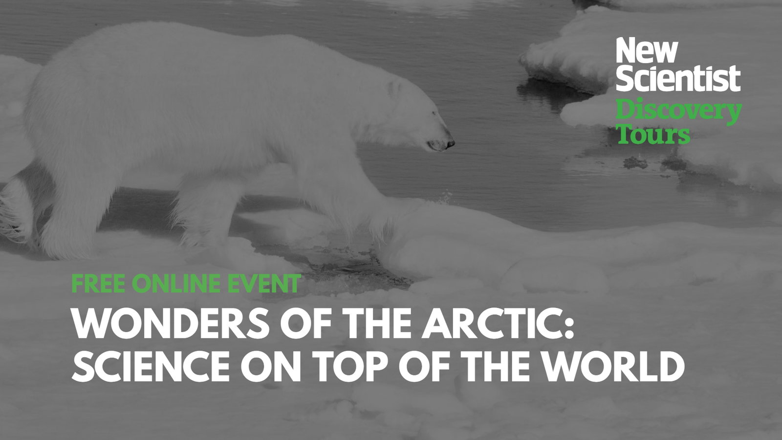 New Scientist Discover Tours | free online event - wonders of the Arctic: science on top of the world
