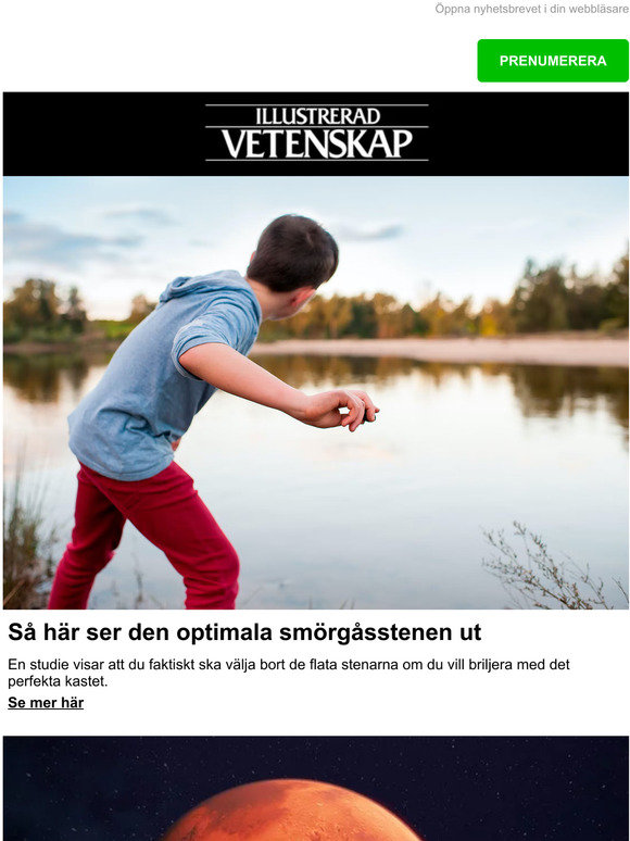 Så här ser den optimala smörgåsstenen ut