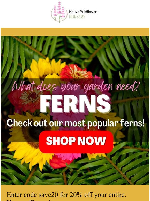 20% Off All Ferns