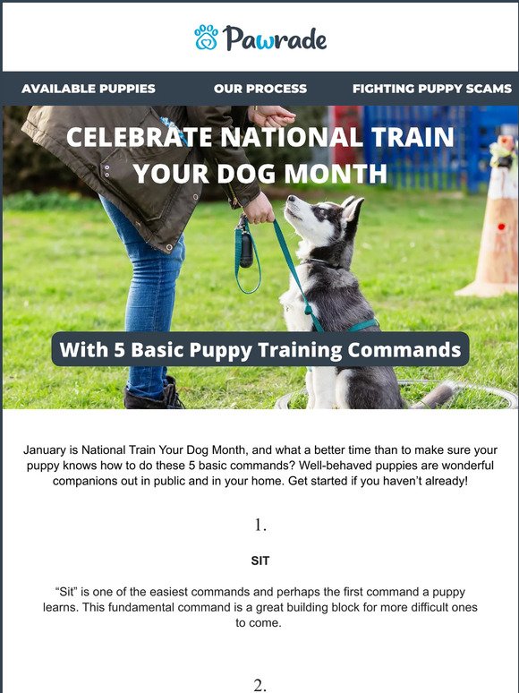 Get your pup 🐶 ready for National Train Your Dog Month!
