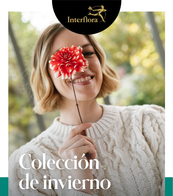 Interflora: ¡Vibras naturales de invierno! | Milled
