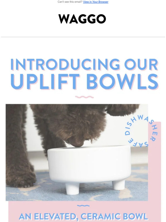 Our New Uplift Bowls are IN!