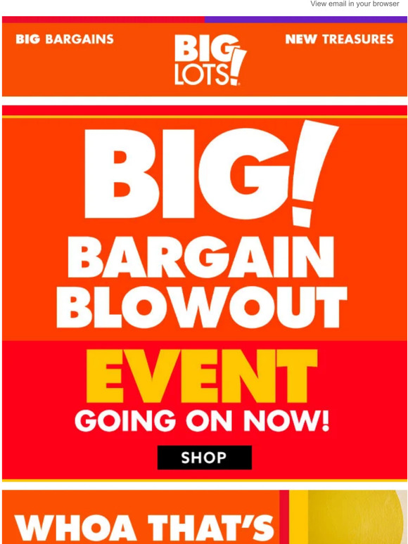 Big Lots 🙌 BIG Bargain Blowout Up to 75 OFF Christmas + MORE Milled