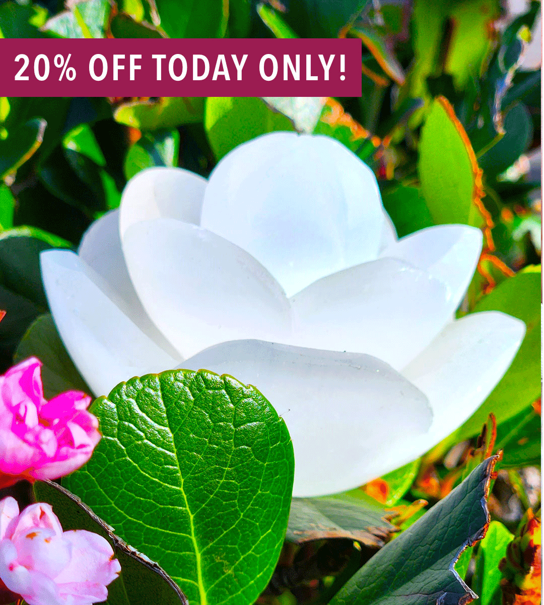 Shop Selenite Rose Carving