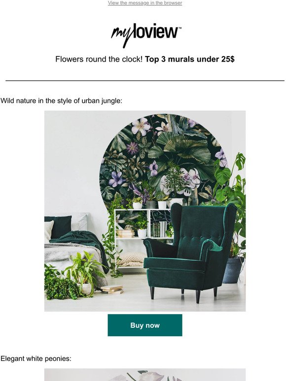TOP 3 floral murals under 25$ 🌷🌷