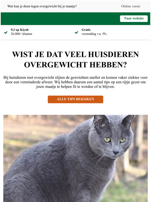 Hoe herken je overgewicht bij je maatje?