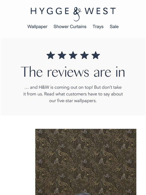 Our latest five-star reviews ⭐⭐⭐⭐⭐
