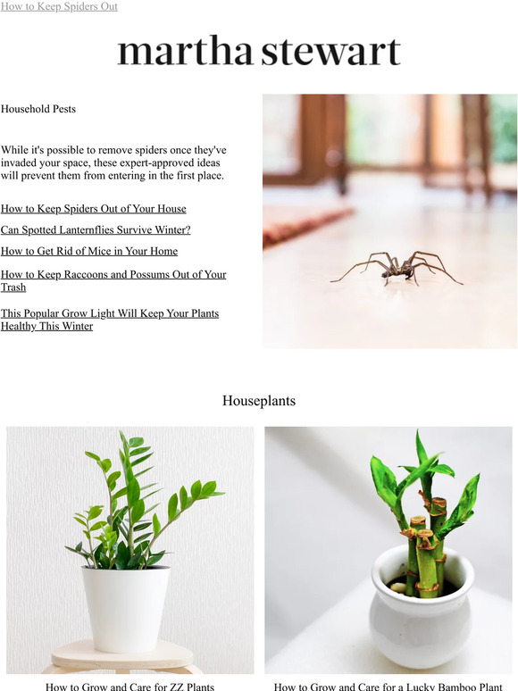 american-made-how-to-keep-spiders-out-of-your-house-milled