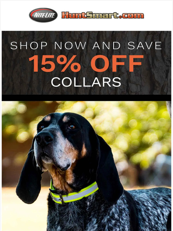 Sale on dog collars!