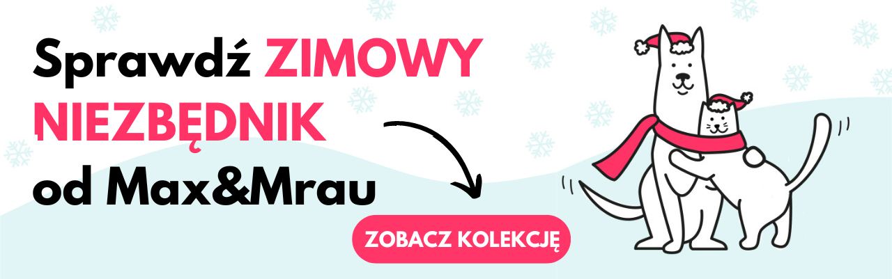 Zimowy niezbędnik