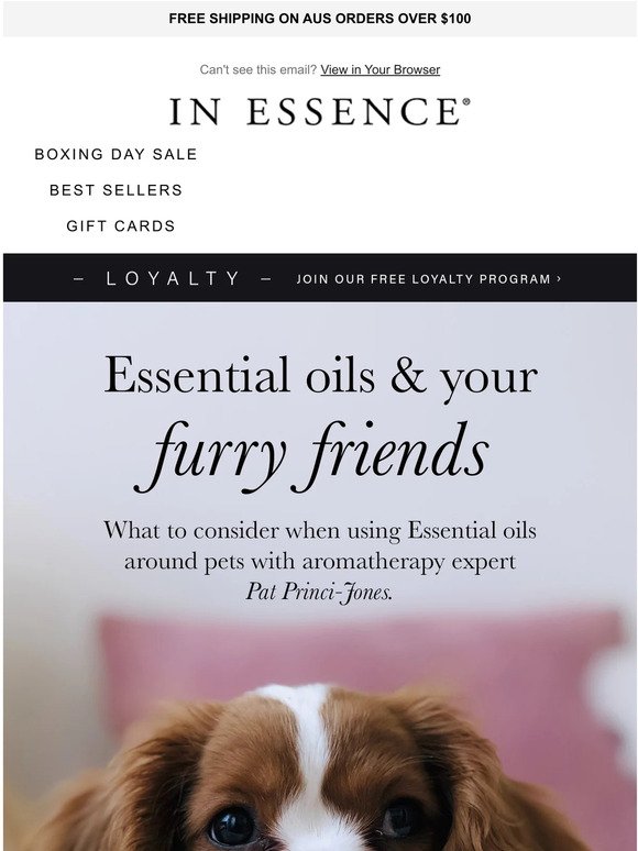 Essential Oils & Pets 🐶 Dog Mums, this one's for you!