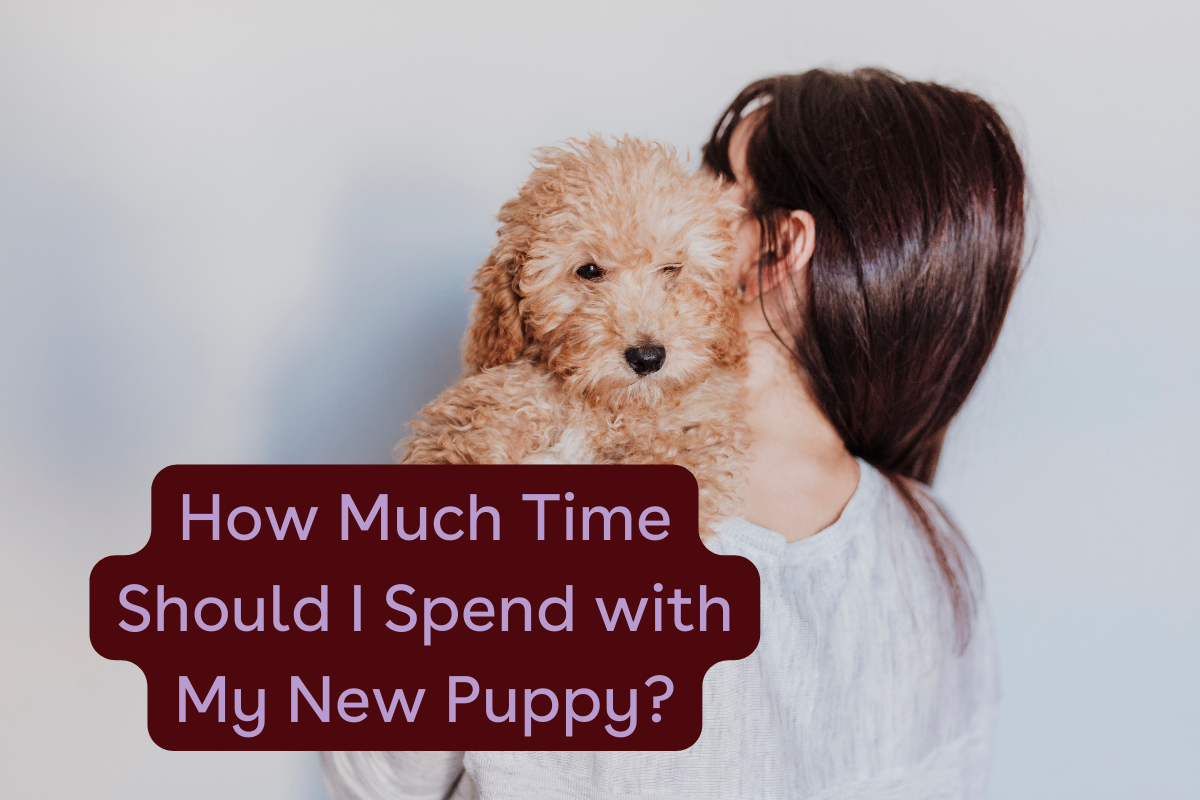 pupford [article] How Much Time Should you Spend With Your Pup Milled